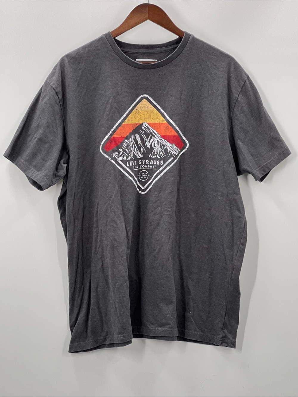 405 Levi's Men's 2XL Charcoal Graphic Mountain T-Shirt